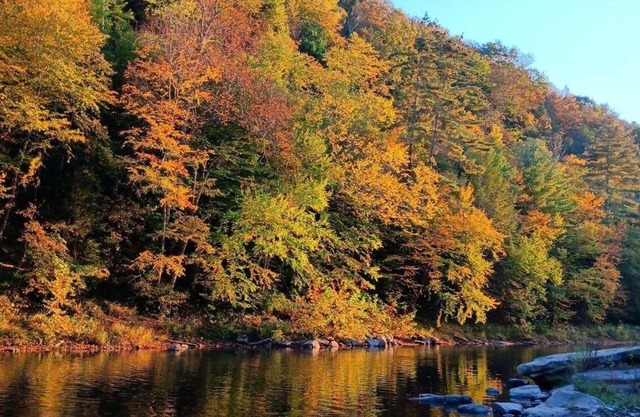 Pet friendly 4 br home on 6.5 acres w access to swim & fishing area --sleeps 10