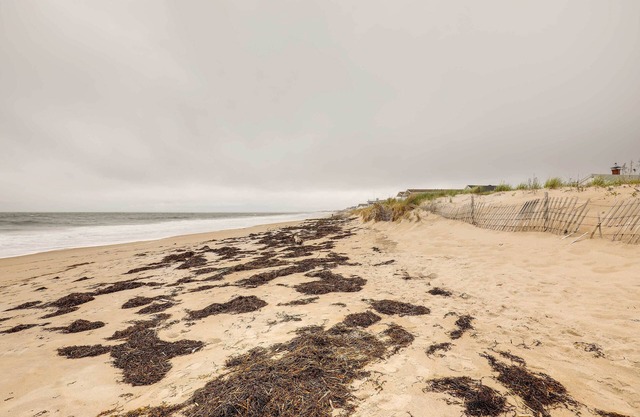 Pet-Friendly Vacation Rental in the Salisbury Area