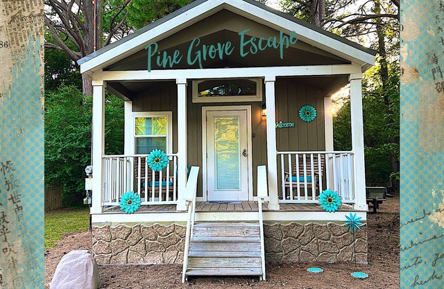 Pine Grove Escape !!! 🌲🌲🌲