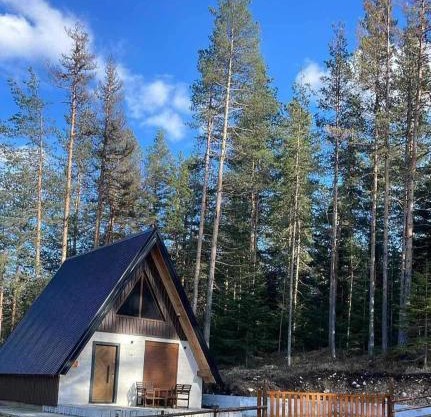 Pine Retreat