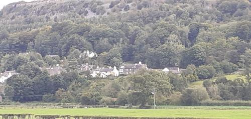 Plumtree House
