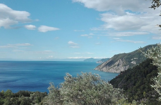 Poggio del Salice: Apt. Cinque Terre con terraza-4 personas / Citra 011005LT0087