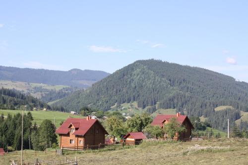 Polonyna