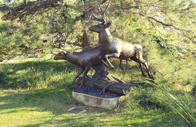 Suite privada para familias junto a Benson Sculpture Gardens