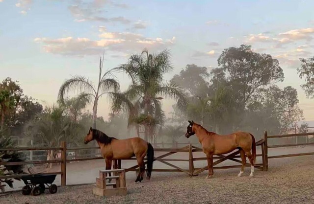 Private Petting Zoo - Glamping Ranch Vibes
