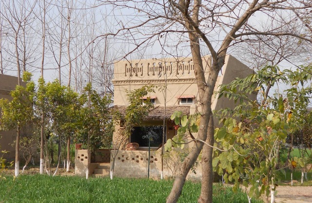 Punjab village farm near Amritsar