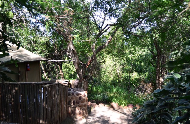 Pura naturaleza en Amanzimlotzi Riverside Bush Tent en Limpopo, Kruger Park