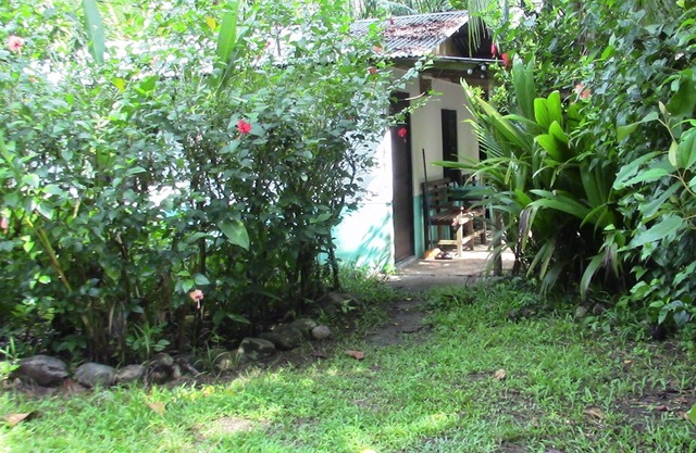 Pintoresco Little Cabina Ubicado cerca de todos los servicios, ubicado en un ambiente de selva
