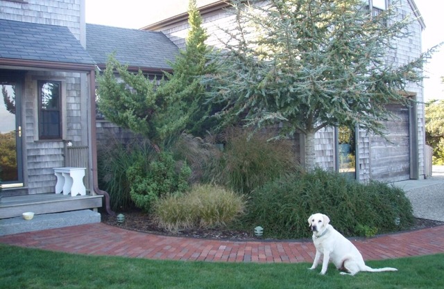 Tranquila y confortable casa de playa en Nantucket - Madduequecham Beach