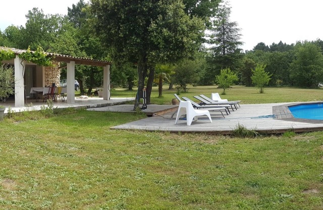 "White Room" ordenada y tranquila de un bosque