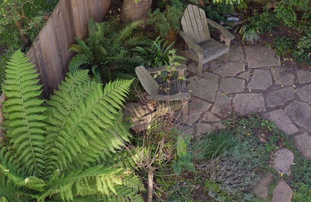 Quiet Garden Studio zona de Golden Gate Park