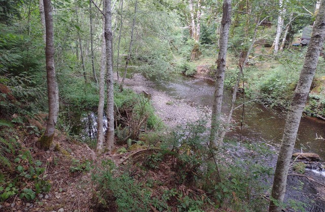 Quiet tent site. Lots of room. Pet friendly.