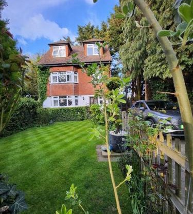 Racecourse Cottage