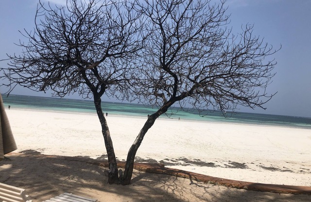 Relájese y rejuvenezca en la costa sur de Kenia: la propiedad frente a la playa tiene capacidad para 6,