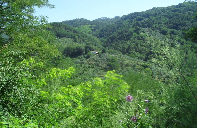 Relajante casa en el verde de la Toscana