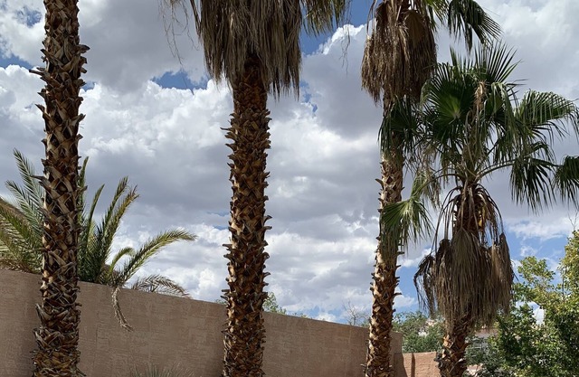 Oasis en el desierto remodelado con piscina