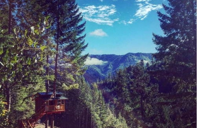 Casa en el árbol remota fuera de la parrilla rústica
