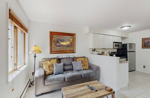Ski-in / ski-out condo w / jacuzzi y sauna compartidos - caminar a los ascensores, 2 perros OK!