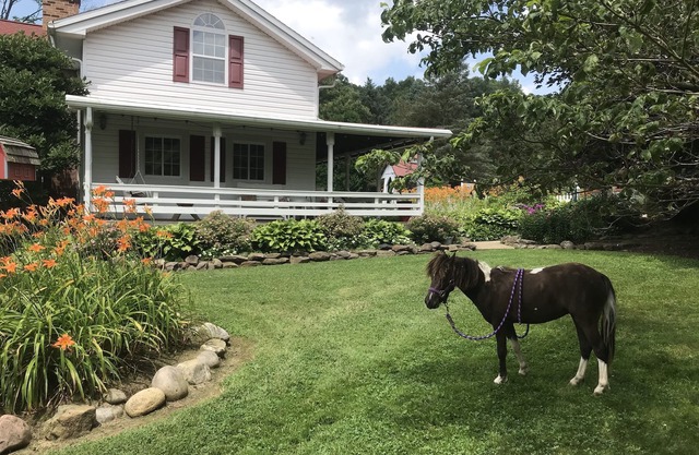 Restaurada históricos de Granja con estanque y los animales del campo En mohicano State Park