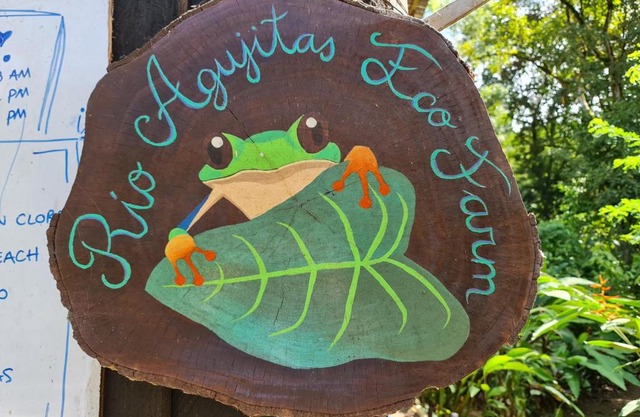 Rio Agujitas Eco jungle - Island and Corcovado tours