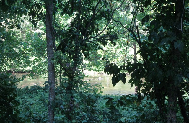 Impresiones del río sobre el río Tellico 1 habitación