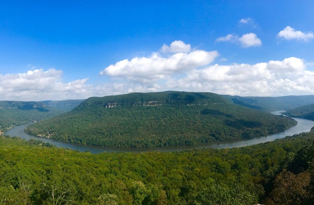 River Gorge Condo! Vistas a la montaña y al río 10 minutos del centro de Chatt!