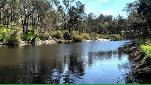 Riverfront, Tiny Home in Natural Bush