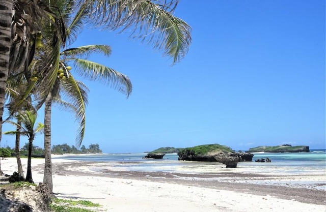 Room in B&B - Watamu, Nestled Between Pristine Beaches and Lush Tropical Forest