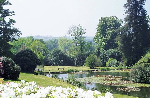 Rosecraddoc Manor - Heron
