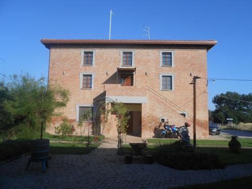 Rotreiher Urlaub Am Trasimeno See