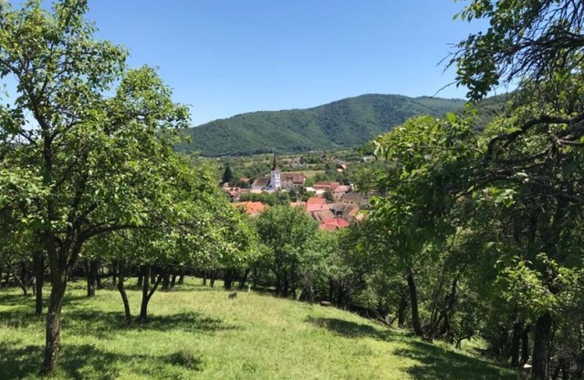 Casa familiar rural, recientemente renovada, ubicada en un auténtico pueblo rumano