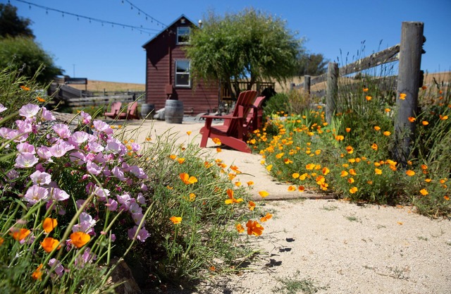 Cabaña rústica en West Marin Organic Cattle Ranch