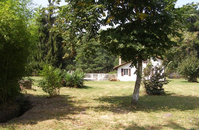 casa rústica con piscina en el corazón del campo de Landes