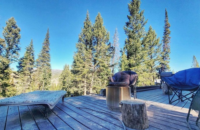 Cozy Mountain Cabin with Direct Trail Access Togwotee Mountain