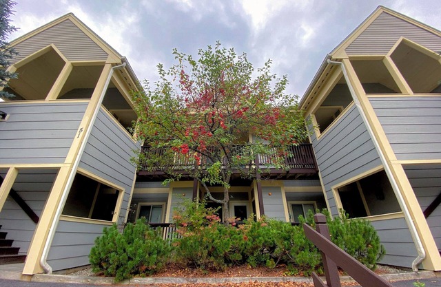 S27 Family style Bretton Woods condo, close to Mt. Washington hotel, and Dog Friendly!