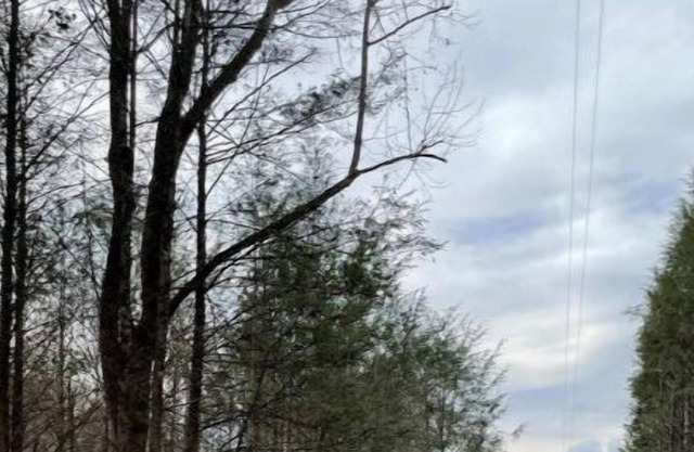 Safe Haven Farm RV Spot #2