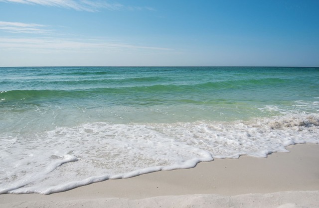 🌴🐚🌴 Sand Dollar W-101: Ground Floor 1 BR | Walk to Beach + Bay