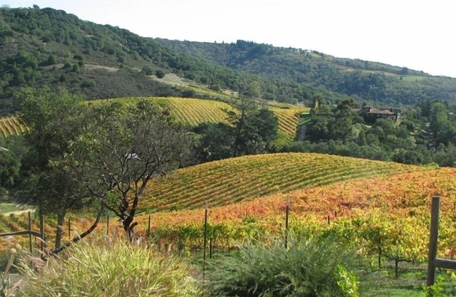 Vino país joya, viñedos y valles, Pool / Spa, verdadero escape