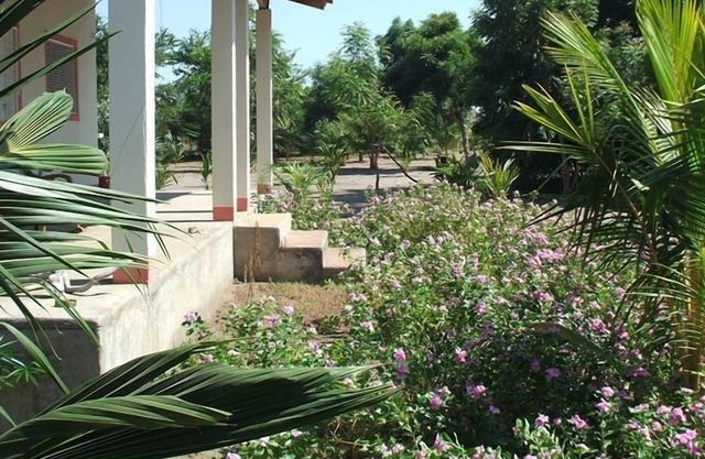 Jardín de la costa del Pacífico aislado Bungalo