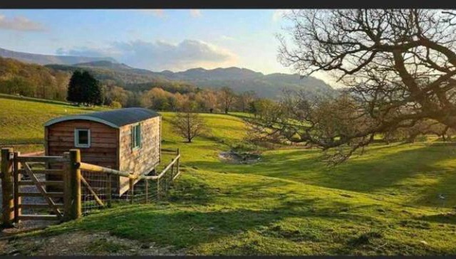 Shepherds hut Lowri