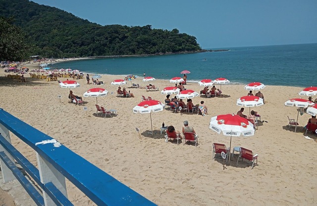 MAR DE FAUNA Y FLORA EN PLAYA DE BOIÇUCANGA