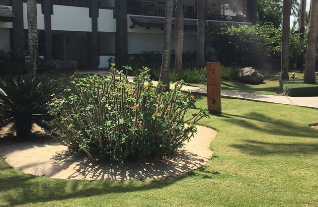 Suite Villa sin precio