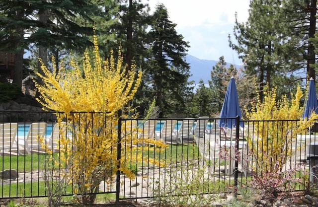 Impresionante Chalet 2 hab, 2 baños + Loft, y WIFI ~ W / Pool & Spa Comunidad + barbacoa