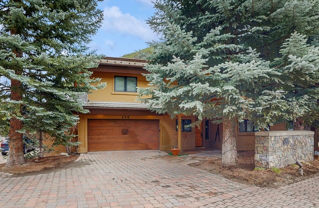 Ski-in/ski-out chalet with fireplace, furnished deck, & alfresco dining
