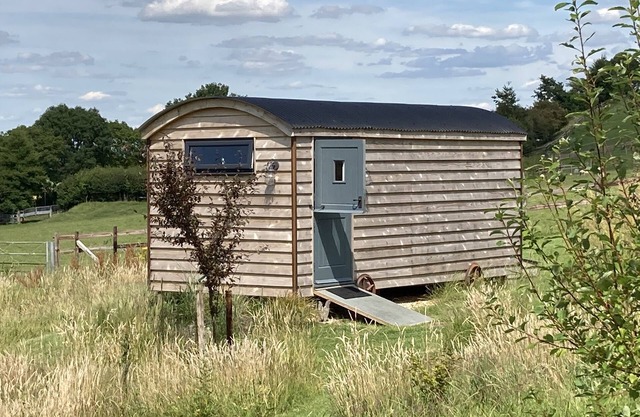 Unidad-Baño Privado-Daisy Pod