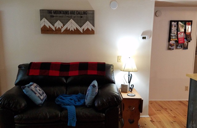 Smoky Mountain Home Rental 3/2 plazas 6.