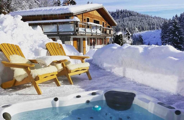 Snow chalet, mountain apartment