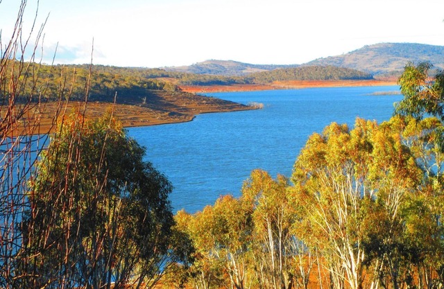 Snow Cottage Anglers Reach