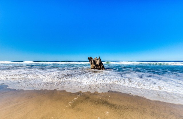 Sophisticated oceanfront home with beach views & private hot hub - dog-friendly