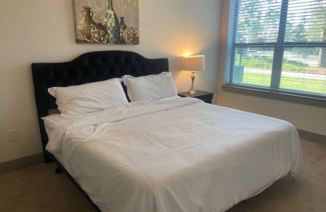 Spacious 2 bed/ 2 bath Apartment in Spring, TX